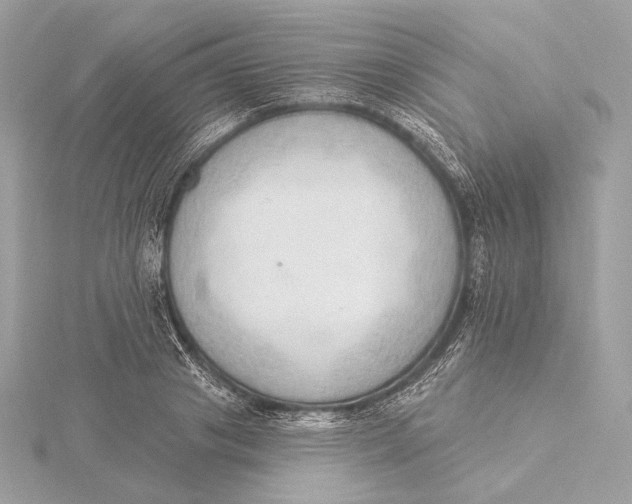X0000115850841200912041727