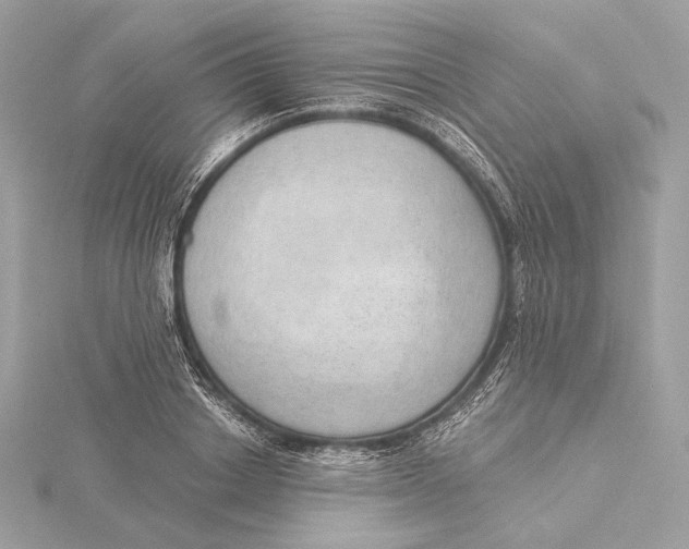 X0000115850842200912041727