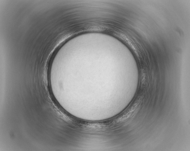 X0000115850843200912041727
