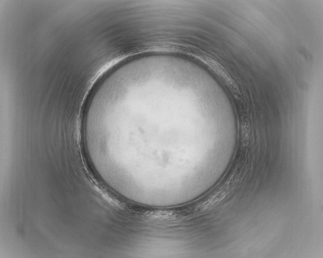 X0000115850846200912041727