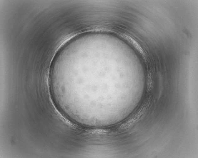 X0000115850847200912041727