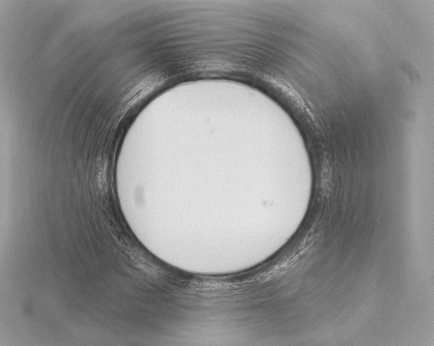X0000115850873200912041727