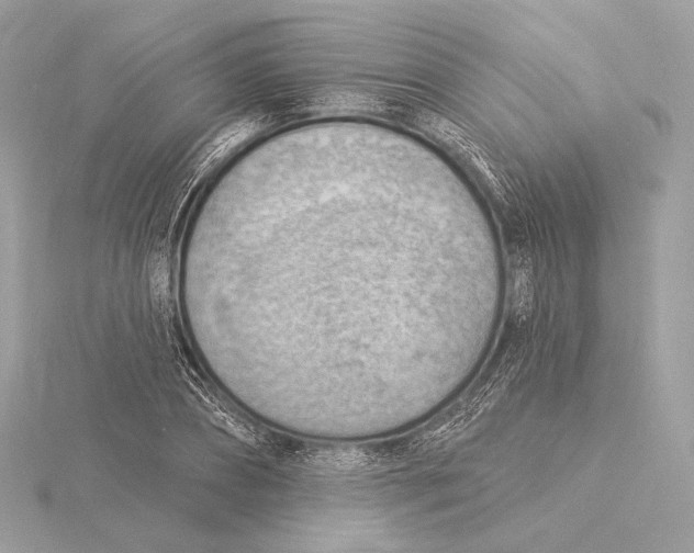 X0000115850882200912041727
