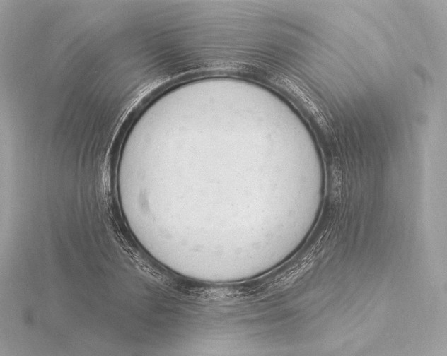 X0000115850883200912041727