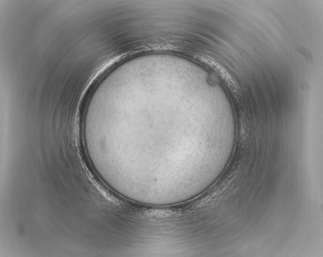 X0000115850894200912041727