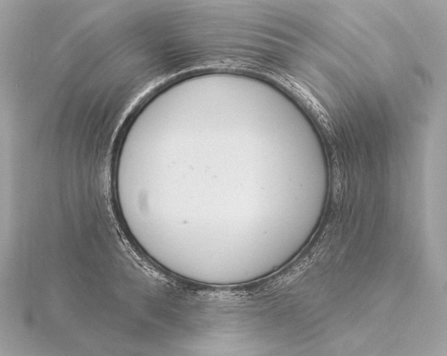 X0000115850896200912041727