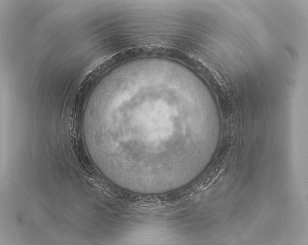X0000115850919200912041726