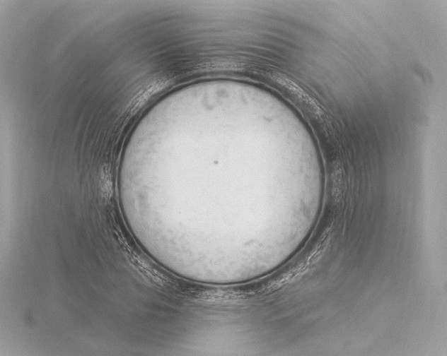 X0000115850929200912041726