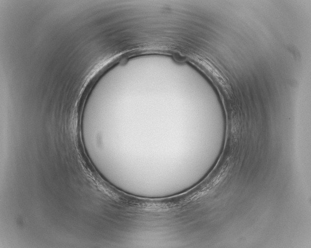 X0000115850933200912041726