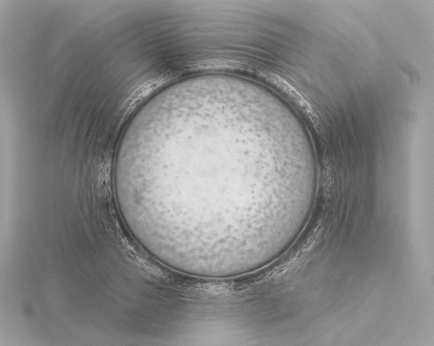 X0000115850937200912041726