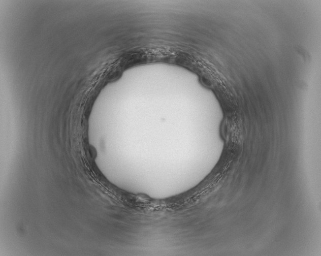 X0000115850961200912041726