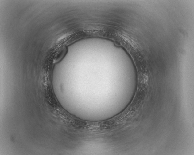 X0000115850965200912041726