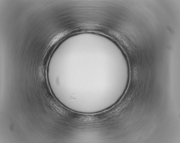 X0000115850970200912041726