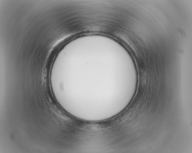 X0000115850971200912041726