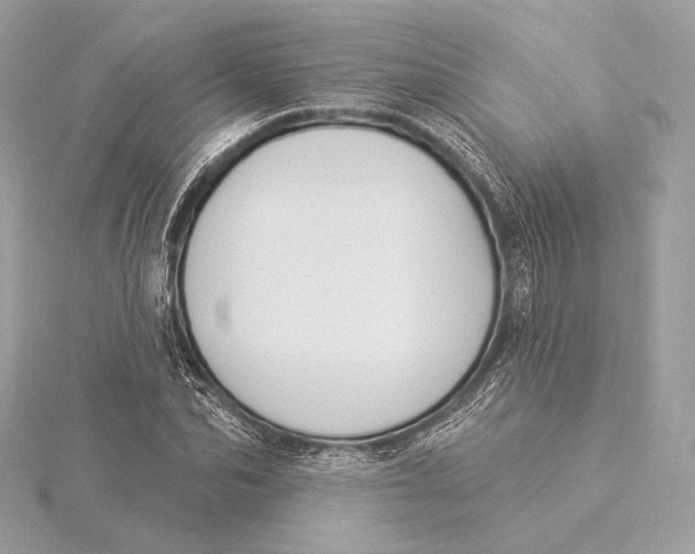 X0000115850974200912041726