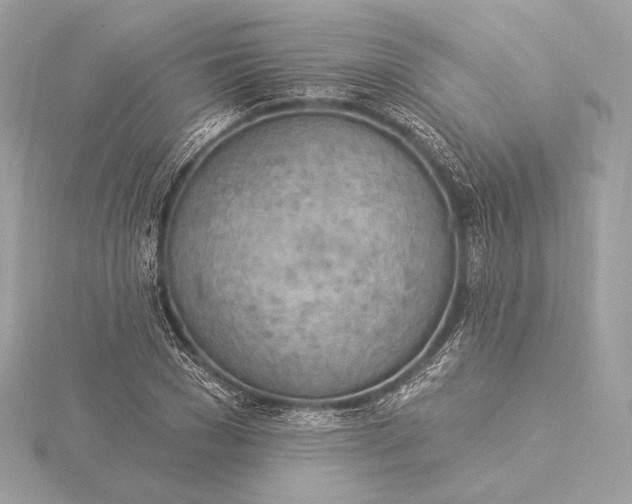 X0000115850977200912041726