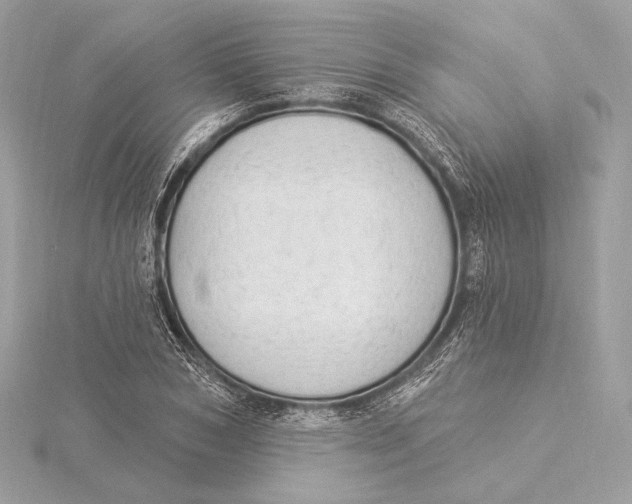 X0000115850978200912041726