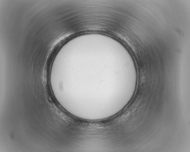 X0000115850979200912041726