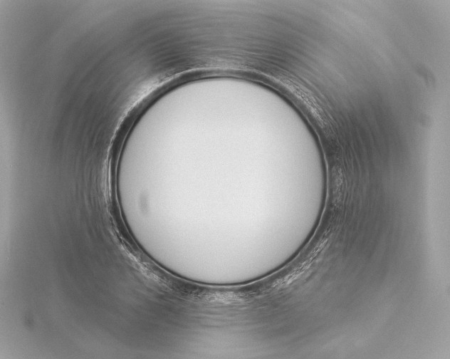 X0000115850982200912041726