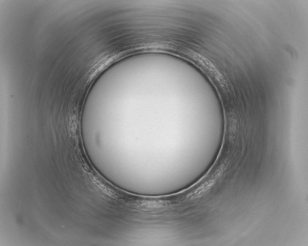 X0000115850985200912041725