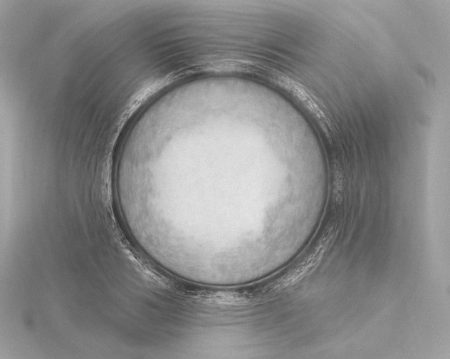 X0000115850986200912041725