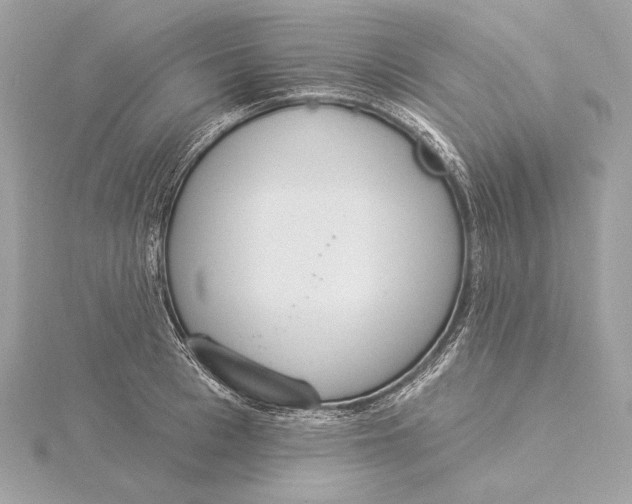 X0000115850993200912041725