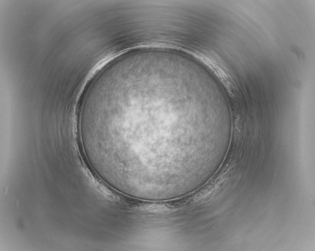 X0000115850998200912041725