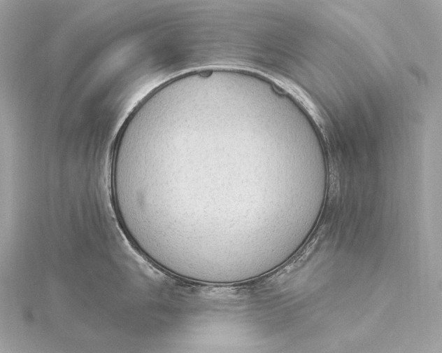 X0000115851006200912041725