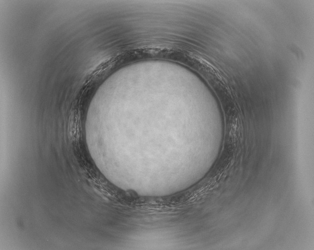 X0000115851014200912041724