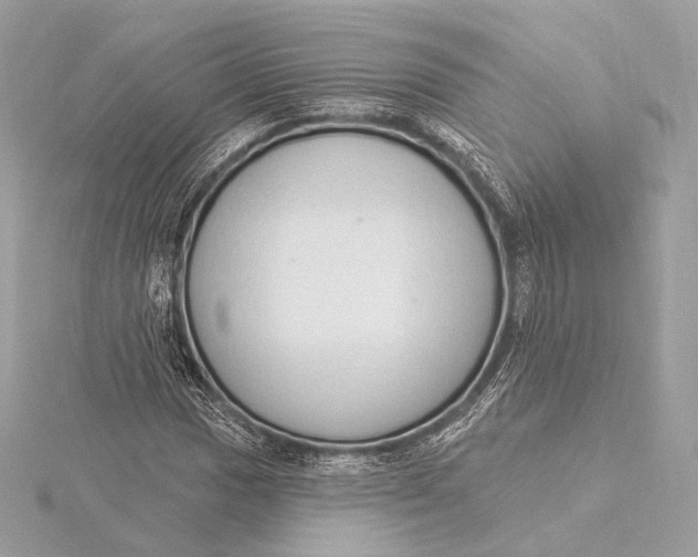 X0000115851017200912041724