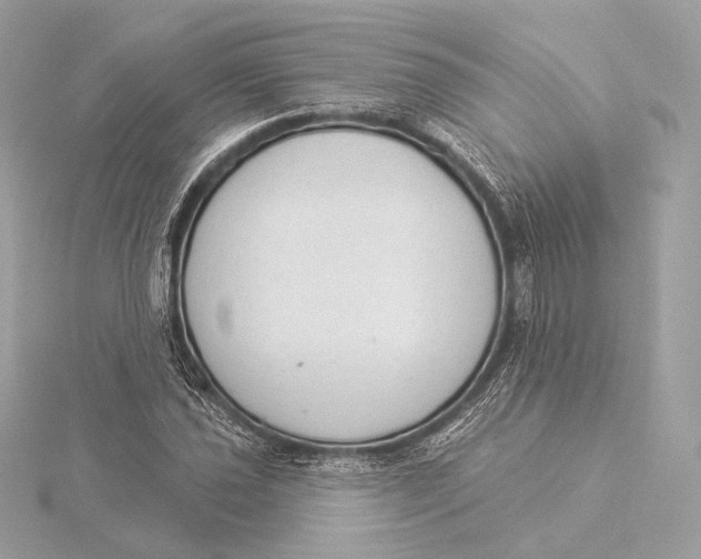 X0000115851021200912041725