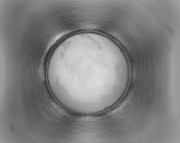 X0000115851022200912041725