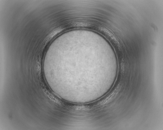 X0000115851025200912041725