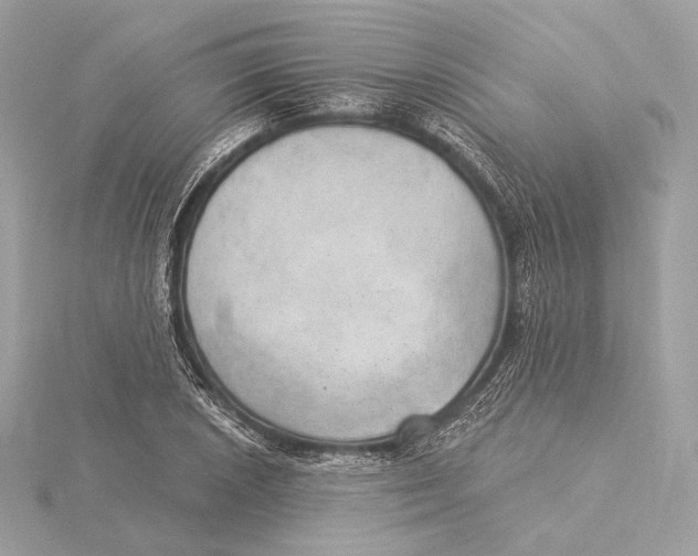 X0000115851026200912041725