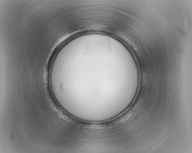 X0000115851029200912041725