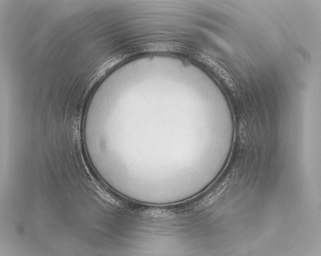 X0000115851033200912041725