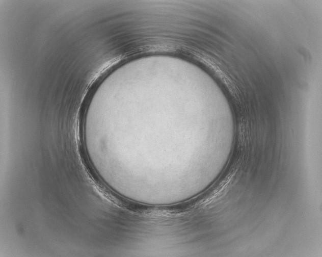 X0000115851034200912041725