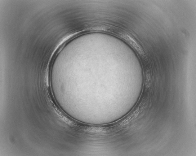X0000115851036200912041725