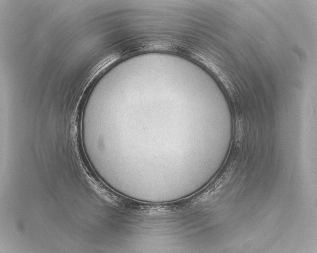 X0000115851042200912041725