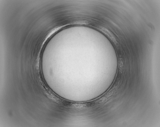X0000115851044200912041725