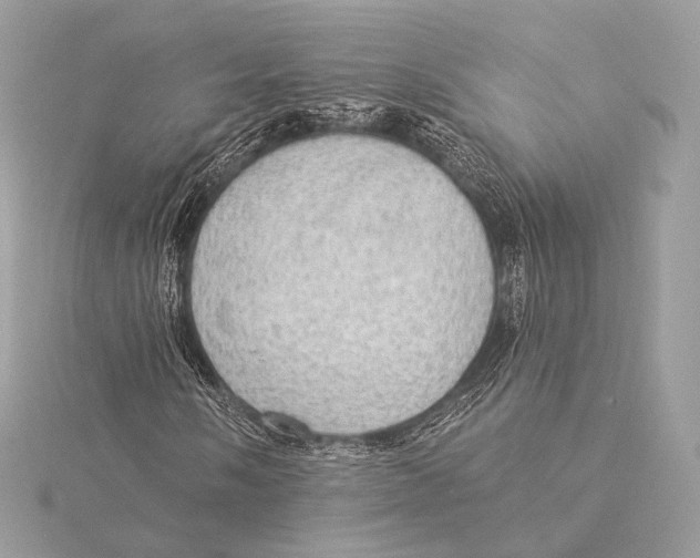 X0000115851058200912041724