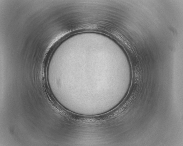 X0000115851070200912041724