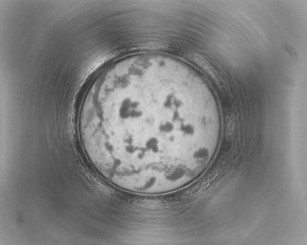 X0000115851071200912041724
