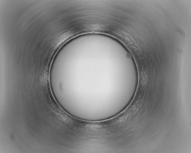 X0000115851073200912041724
