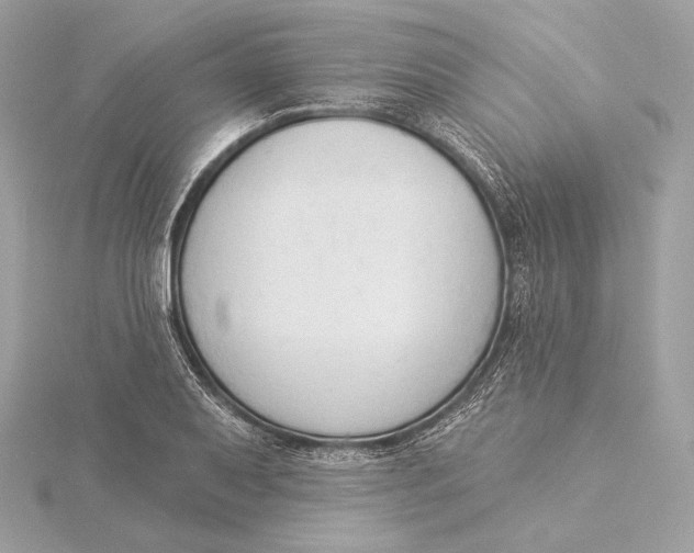 X0000115851079200912041724