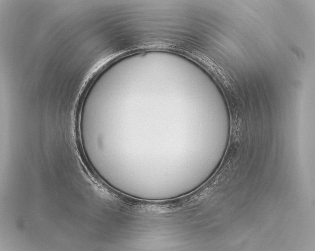 X0000115851086200912041724
