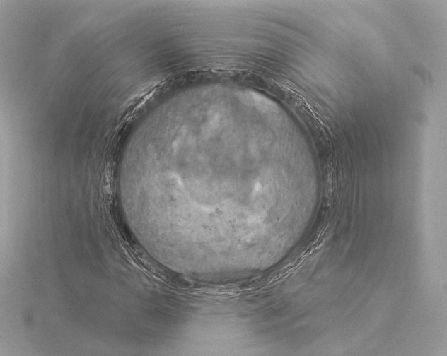 X0000115851110200912041723