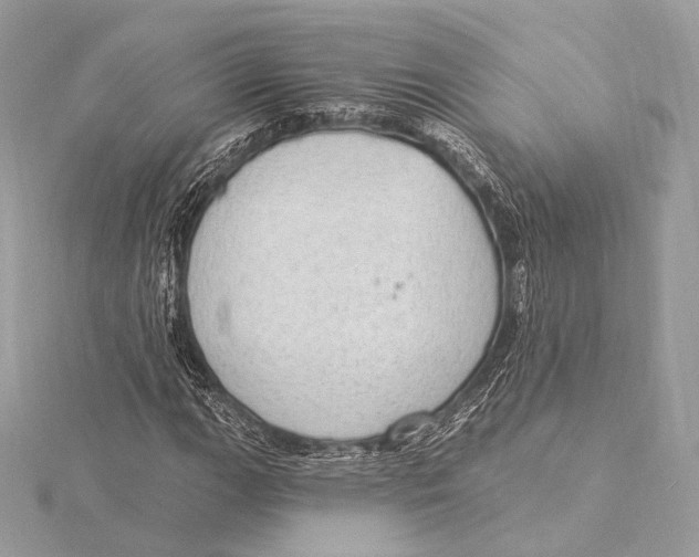 X0000115851111200912041723