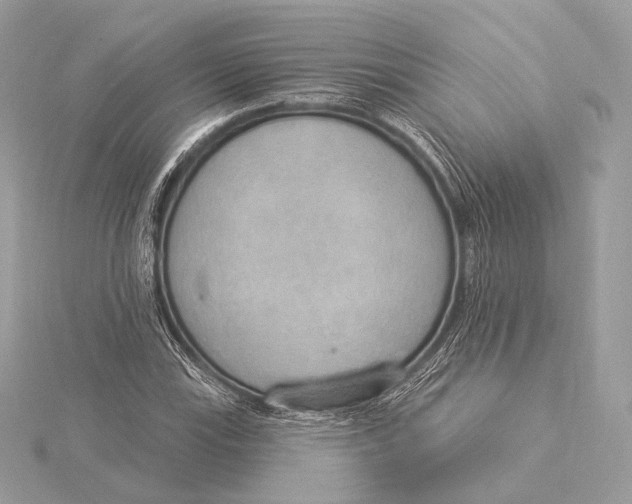 X0000115851115200912041723