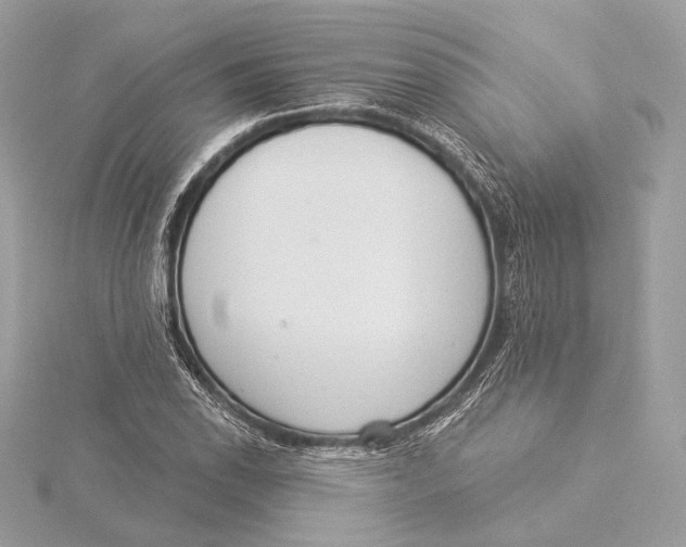 X0000115851118200912041723